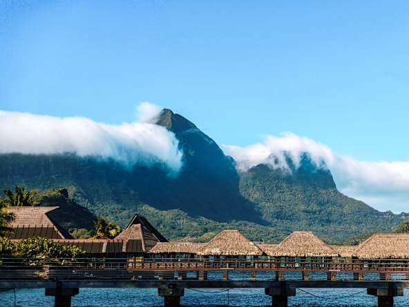 Star Collector: Passage to French Polynesia